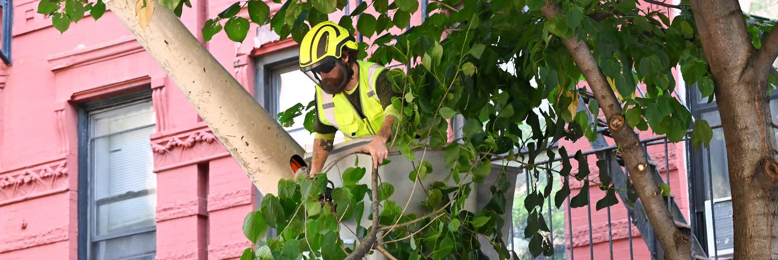 Property work in Columbia SC