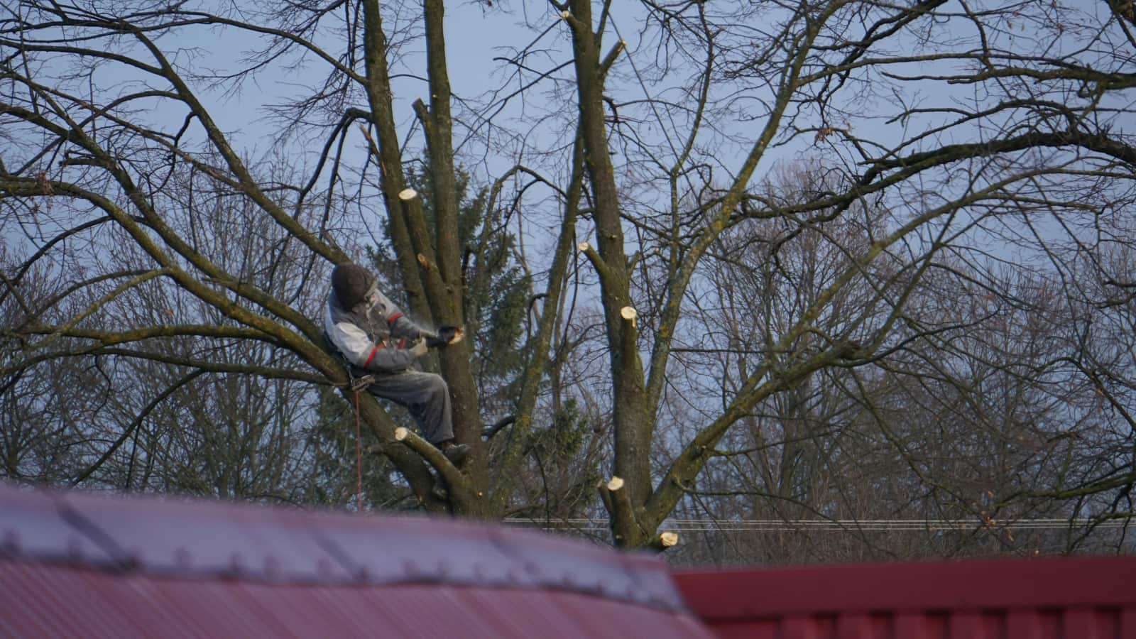 Property Trimming